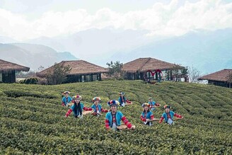 2025嘉義縣部落旅遊節 感受鄒族文化的魅力