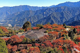 「阿里山」限定遊 攝影達人帶路，賞秋季夢幻楓景、磅礡雲海！