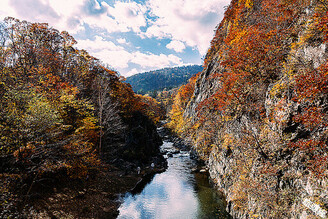 日本秋天的萬種「楓」情，推薦「日本五大賞楓勝地」！