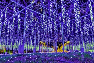 足利花卉公園『光之花庭』今年新增香氛空間演出