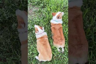 有折疊跟無摺疊好像沒啥差