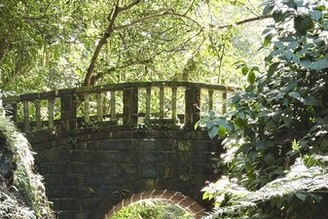 藏身都會一隅的秘境 虎山溪步道