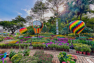 士林官邸菊展明(28)日登場 最佳賞花期12月上旬！