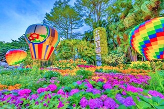 藝菊圓夢邀你五感體驗菊藝