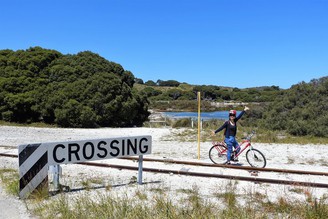 【澳洲】尋找世界最快樂的動物：Rottnest Island 羅特尼斯島