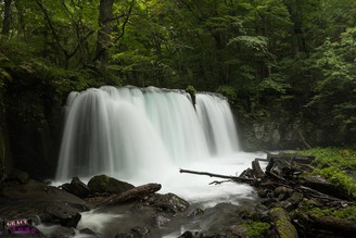 日本青森縣奧入瀨溪  四季皆美的自然溪流美景，夏天避暑的聖地