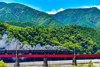 慢活靜岡 鐵道與茶香的探索之旅