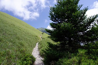 菜鳥首次登山(二)：光被八表、南華山