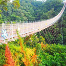 全台最美吊橋！南投猴探井「天空之橋」，夕陽西下無敵浪漫！