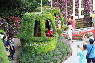 《巴拿山 Ba Na Hills》說好去越南旅行，這裡不像呀！