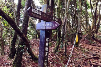 因為特別所以誘人~鳶嘴山