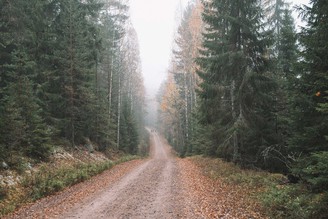 芬蘭自駕3000公里：30平方公里的天然遊樂場Repovesi