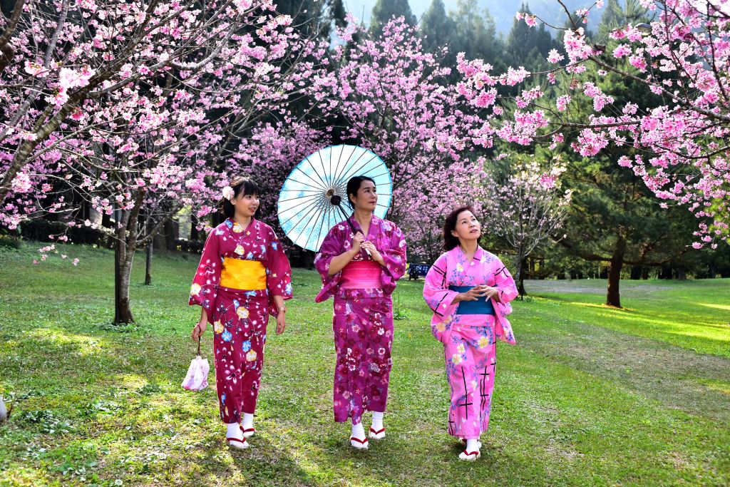九族文化村 櫻花祭 新安東京海上產險XPChome旅行團 現在玩啥專欄