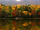 北海道大地盡頭追楓！知床紅葉秘境