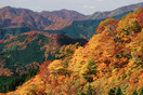 東北絶景 紅葉100選 白神山地藏王七日