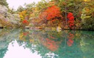 秋遊日立海濱公園世界級夢幻五色沼、溫泉極上之宿五日