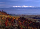 北海道紅葉賞5日