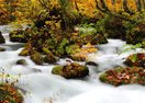 秋紅葉-日本．東北山形．秋田 和風文化之旅5日