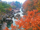 【絕美東北】奧之細道~奧入瀨溪流.紅葉紀行祕境六日