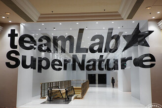 澳門新的打卡點 威尼斯人「澳門teamLab超自然空間」探索互動體驗